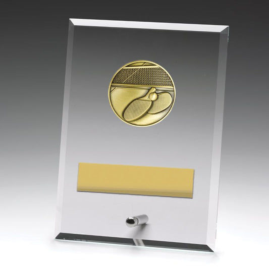DY166B Glass Plaque Table Tennis 17.5cm