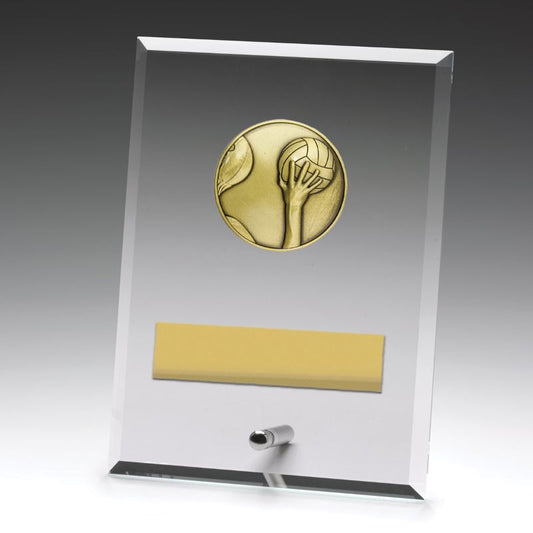 DY170B Glass Plaque Water Polo 17.5cm