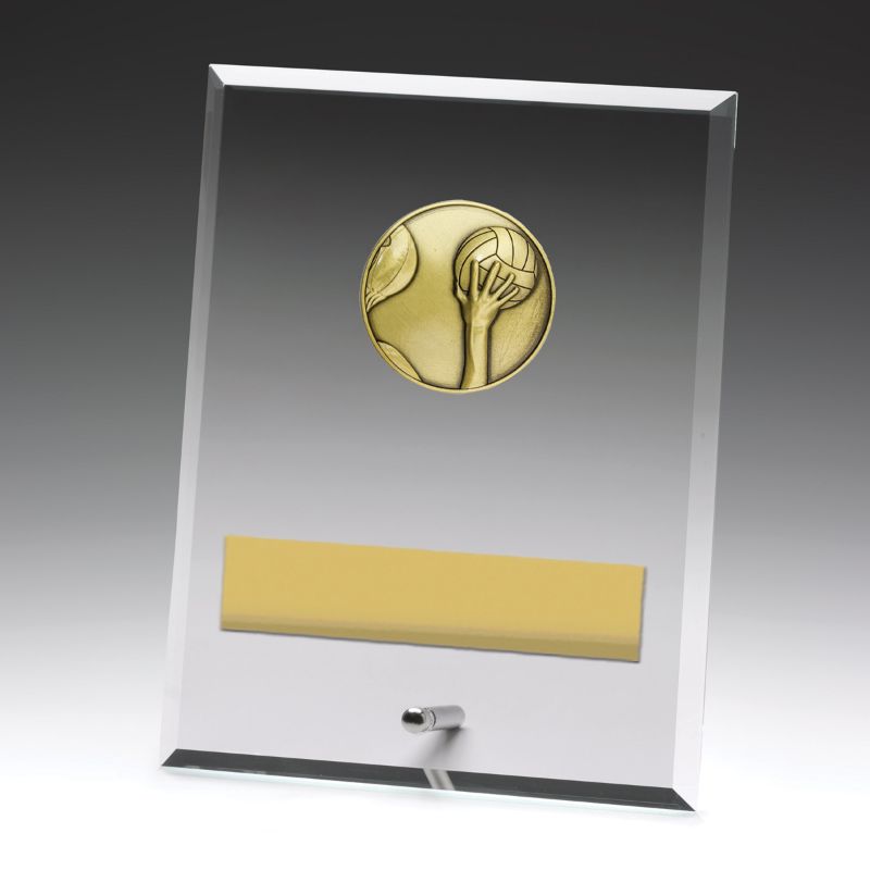 DY170C Glass Plaque Water Polo 20cm