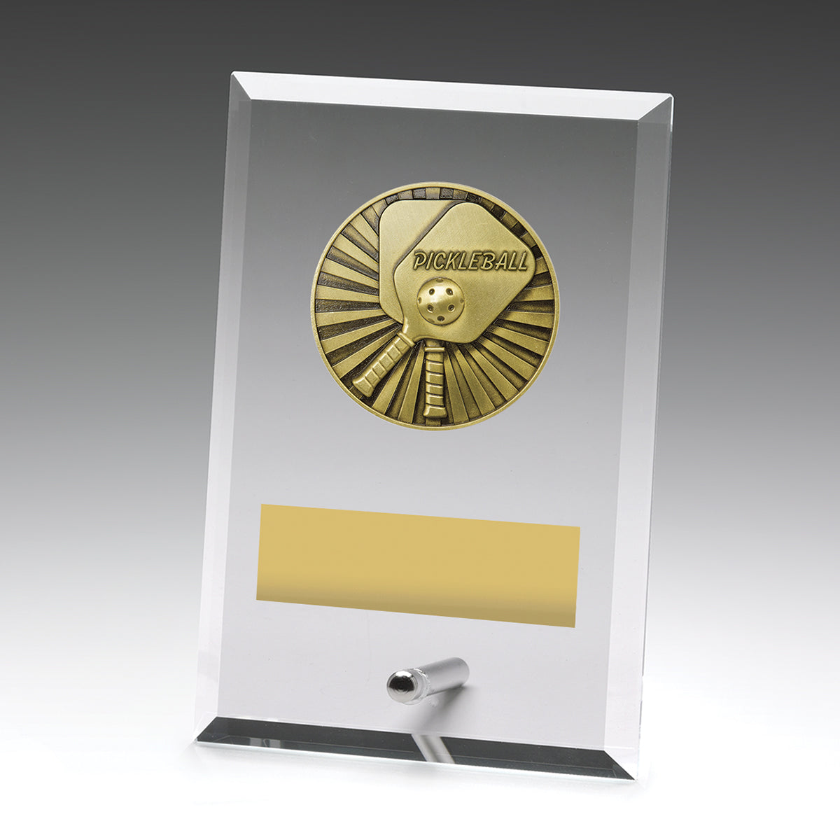 DY171 Glass Plaques - Pickleball