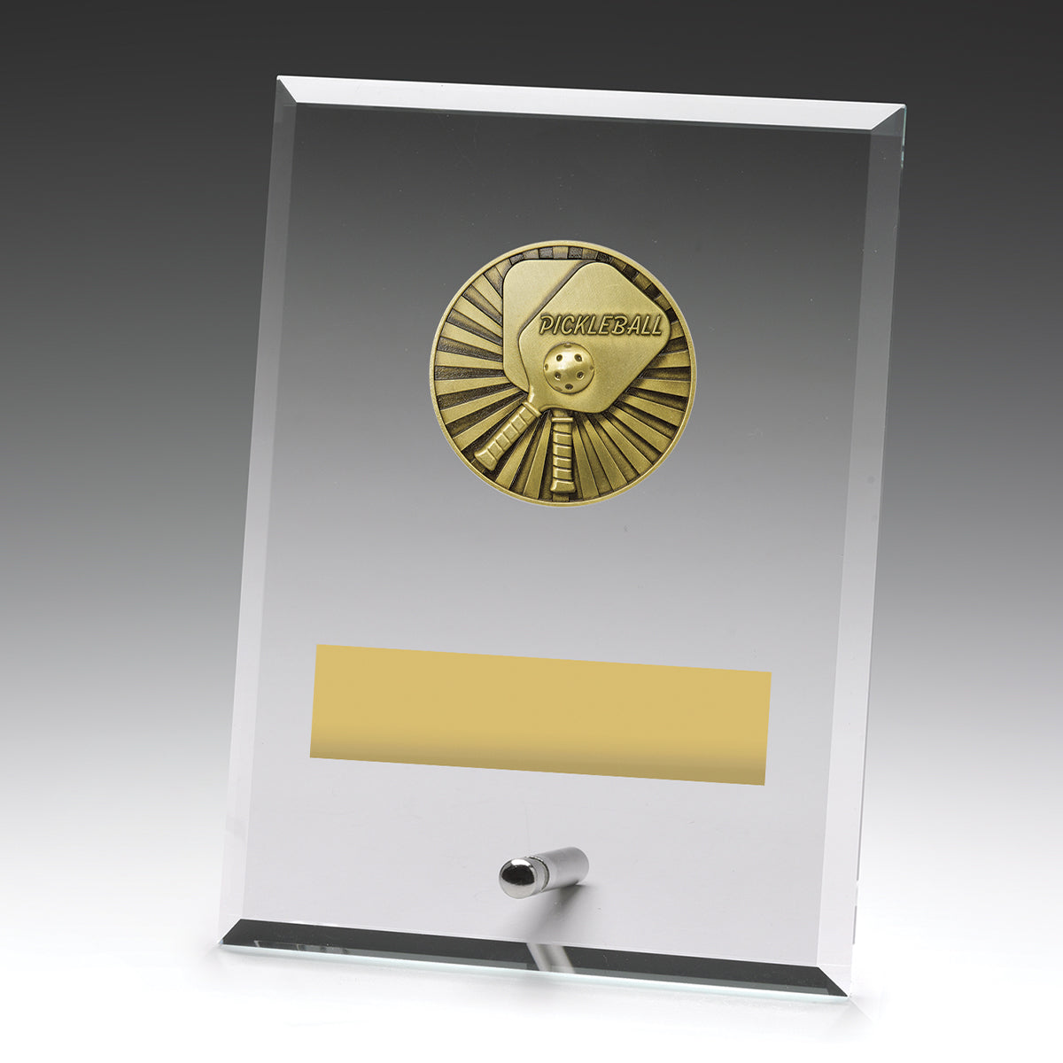 DY171 Glass Plaques - Pickleball