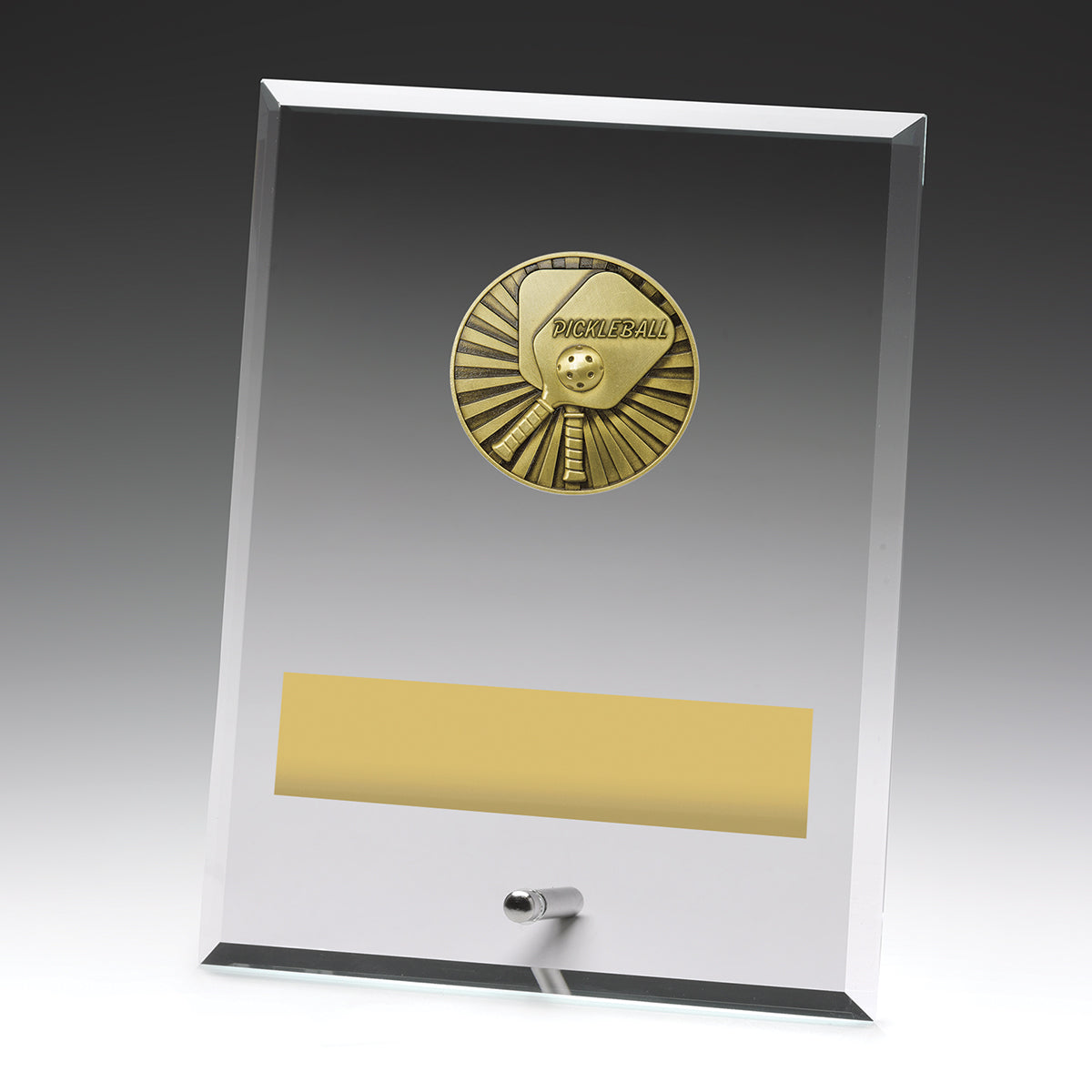 DY171 Glass Plaques - Pickleball