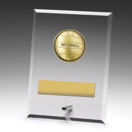 DY191B Glass Plaque Netball 17.5cm