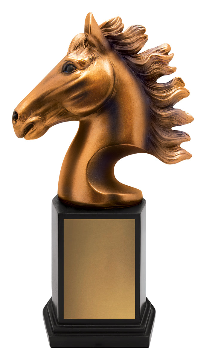 A3500 Horse Zenith Award