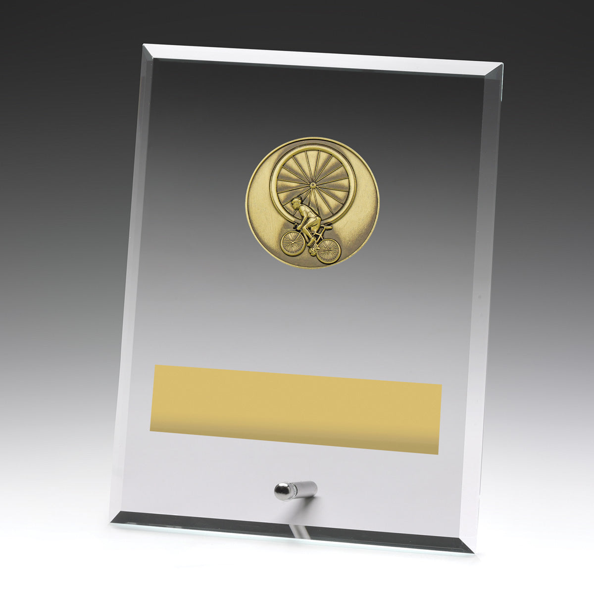 DY164 Glass Plaques - Cycling