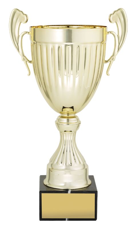 EC01A Endeavour Cup Gold 27cm
