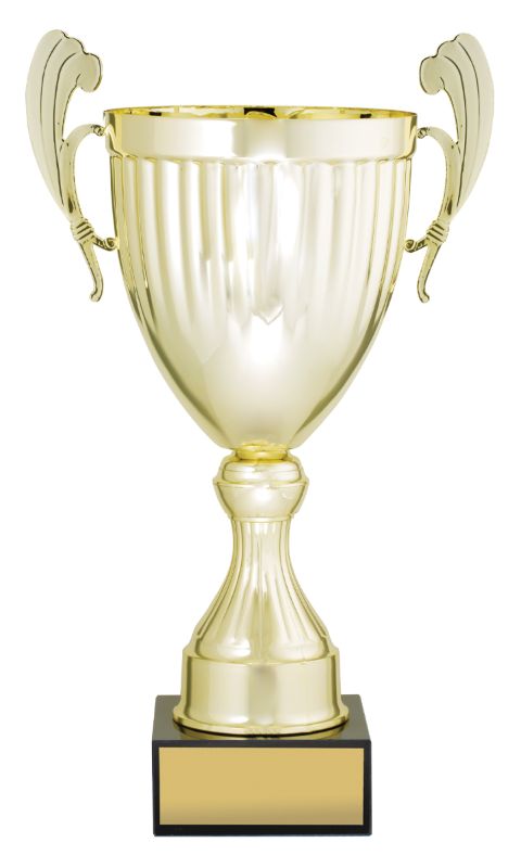 EC01D Endeavour Cup Gold 40cm