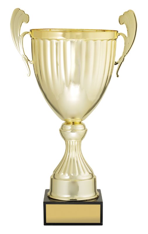 EC01E Endeavour Cup Gold 43cm