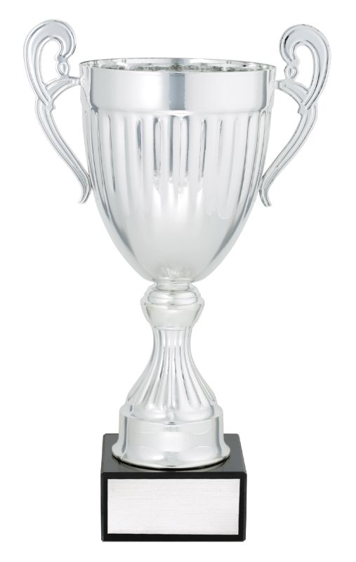 EC02A Endeavour Cup Silver 27cm