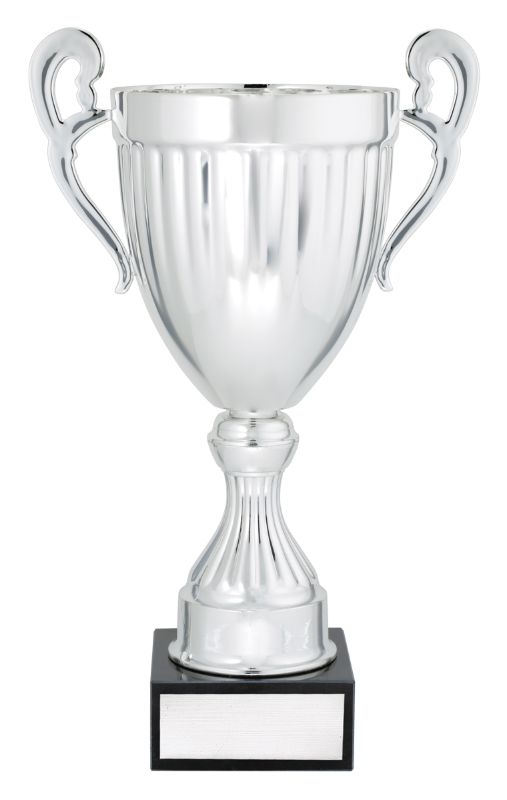 EC02B Endeavour Cup Silver 31cm