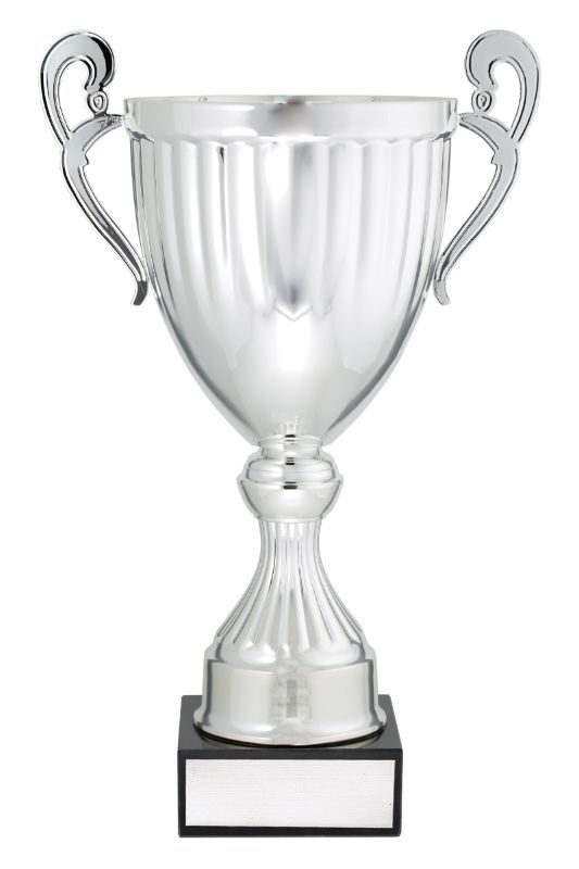 EC02E Endeavour Cup Silver 43cm