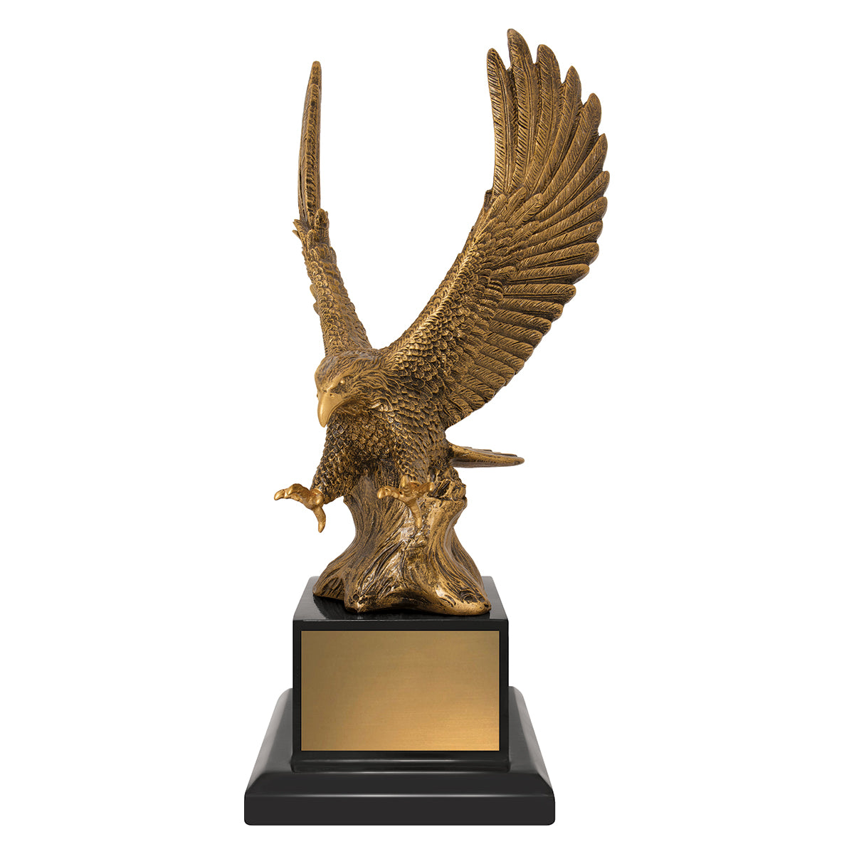 EGL275 Soaring Success