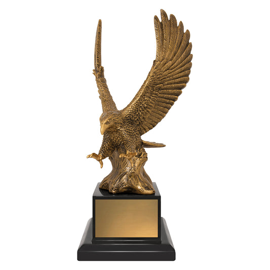 EGL275 Soaring Success