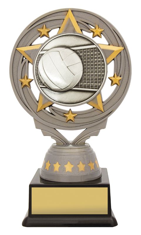 FT227A Silver Torch Volleyball 15cm