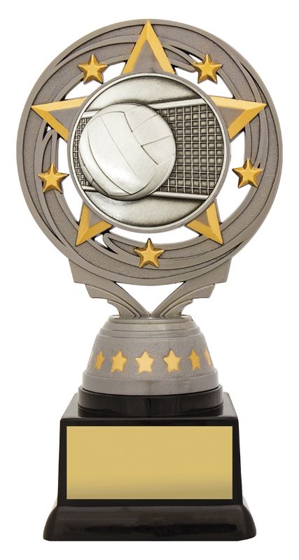 FT227B Silver Torch Volleyball 16.5cm