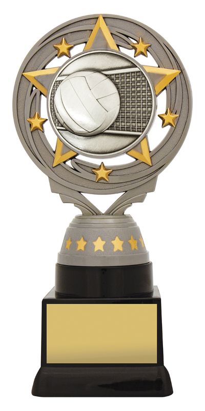 FT227C Silver Torch Volleyball 18cm