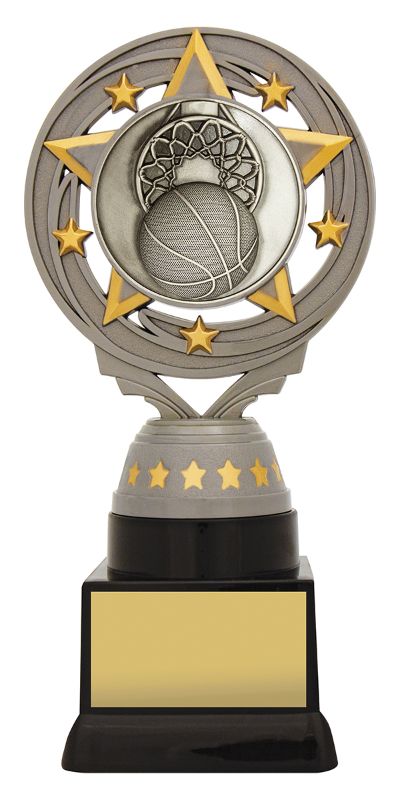 FT234C Silver Torch Basketball 18cm