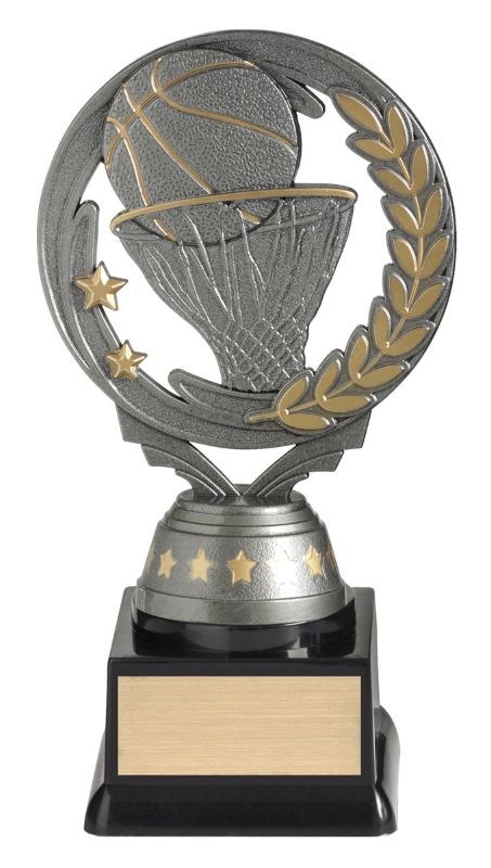 FT260B Basketball Budget Silver 16.5cm
