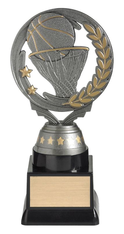 FT260C Basketball Budget Silver 18cm