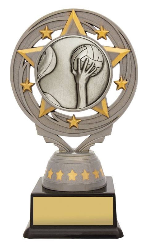 FT270A Silver Torch Water Polo 15cm
