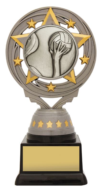 FT270B Silver Torch Water Polo 16.5cm