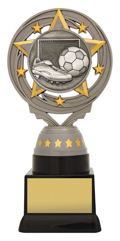 FT280C Silver Torch Football 18cm