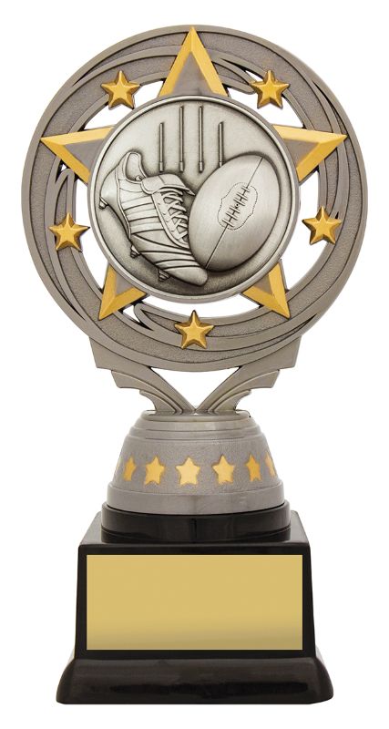 FT288B Silver Torch Footy 16.5cm