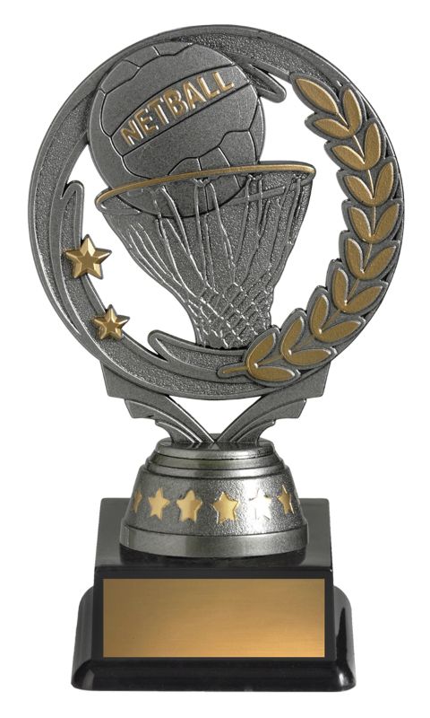 FT291A Netball Budget Silver 15cm