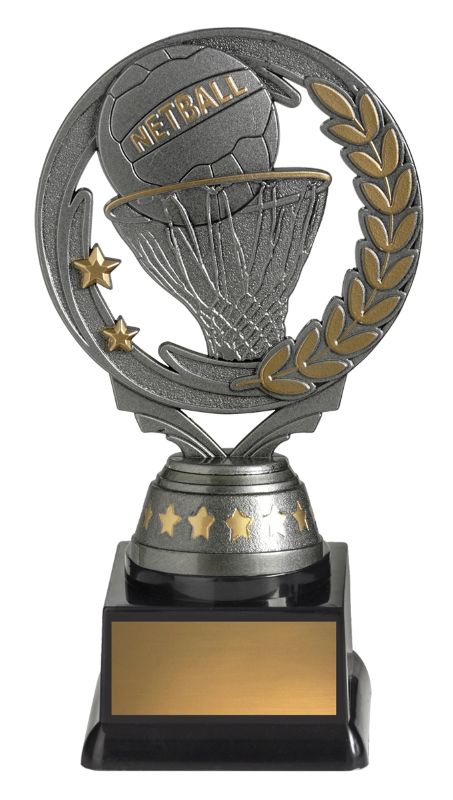 FT291B Netball Budget Silver 16.5cm