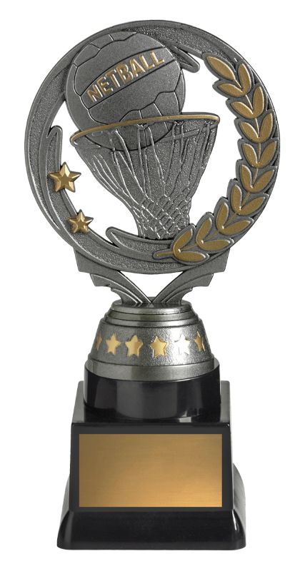 FT291C Netball Budget Silver 18cm