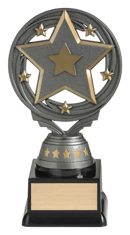 FT295B Star Budget Silver 16.5cm