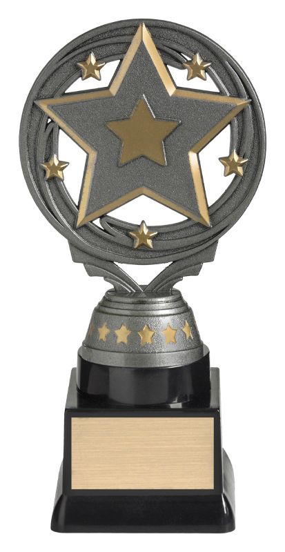 FT295C Star Budget Silver 18cm