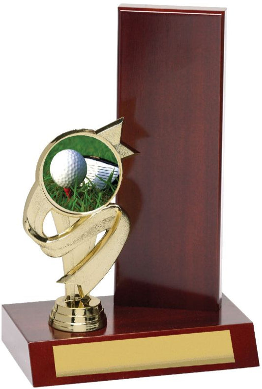 G9008 Golf Wing Trophy 22.5cm