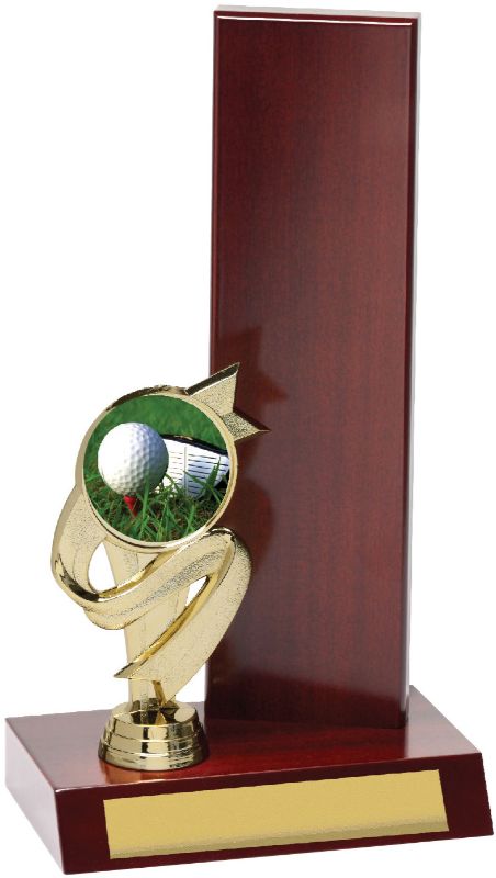 G9009 Golf Wing Trophy 27.5cm