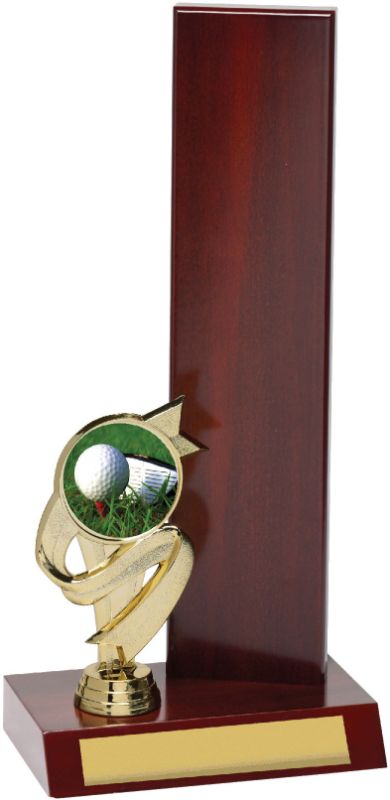 G9010 Golf Wing Trophy 32.5cm