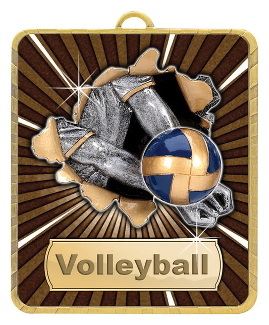 LM027G Lynx Medal Volleyball 7.5cm
