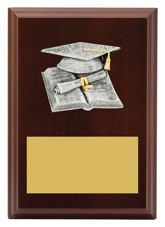 LPF405A Plaque Peak Academic 15cm