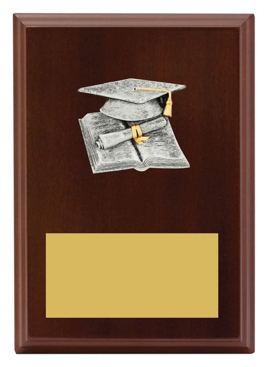 LPF405B Plaque Peak Academic 17.5cm