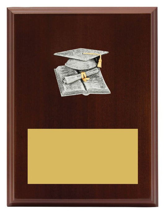 LPF405C Plaque Peak Academic 20cm