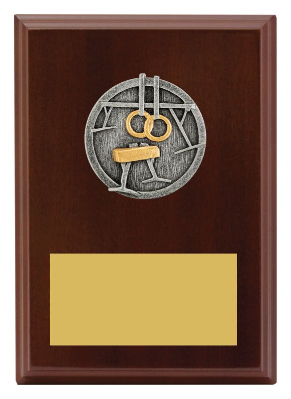 LPF414B Plaque Peak Gymnastics 17.5cm