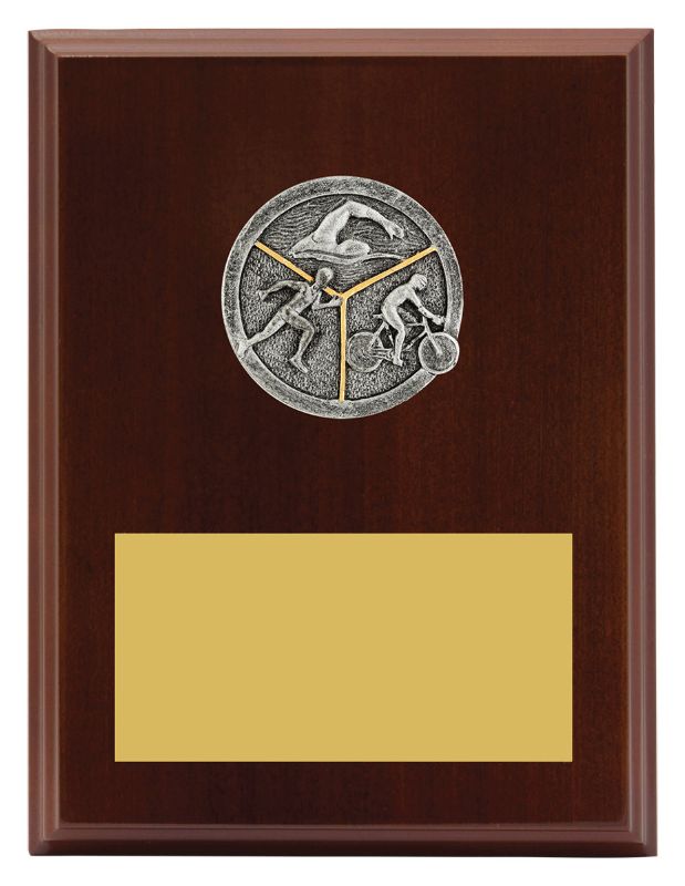 LPF417C Plaque Peak Triathlon 20cm