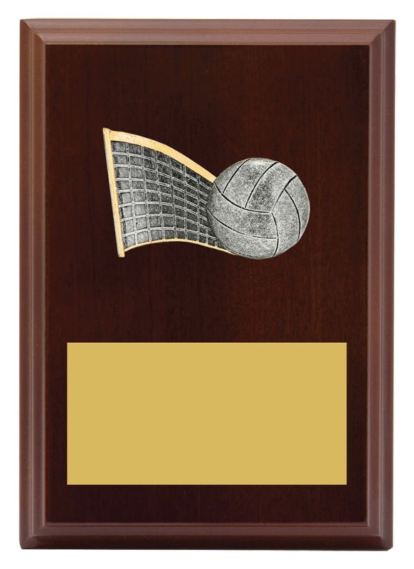 LPF427A Plaque Peak Volleyball 15cm