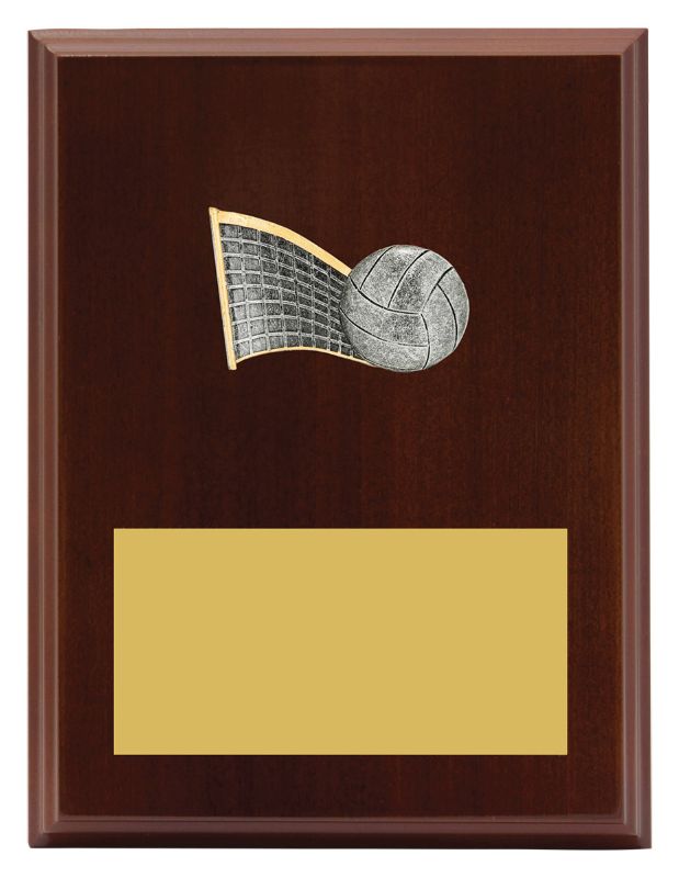 LPF427C Plaque Peak Volleyball 20cm