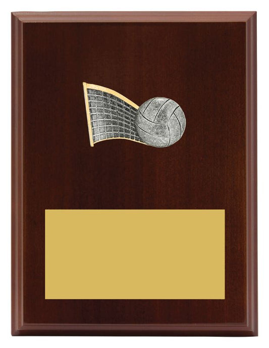 LPF427C Plaque Peak Volleyball 20cm