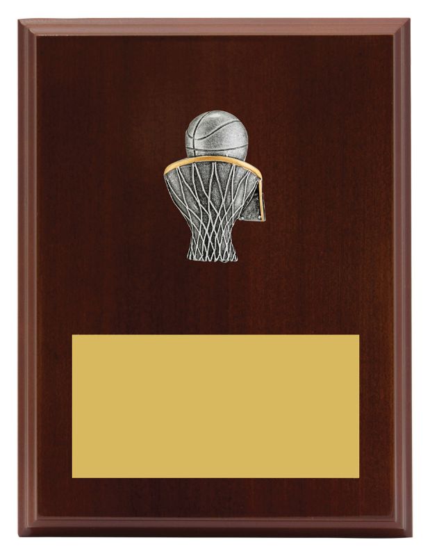 LPF434C Plaque Peak Basketball 20cm