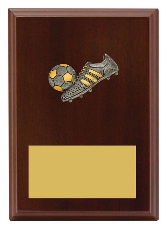 LPF480B Plaque Peak Football 17.5cm