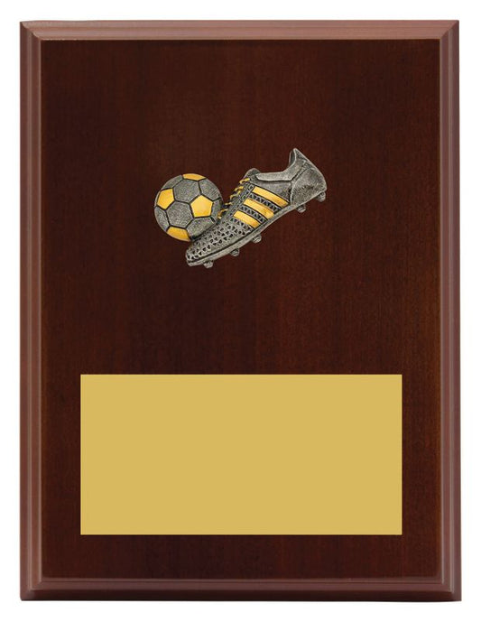 LPF480C Plaque Peak Football 20cm