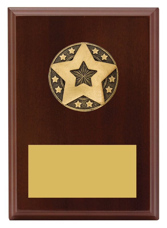 LPF505 Star Award Plaque 17.5cm