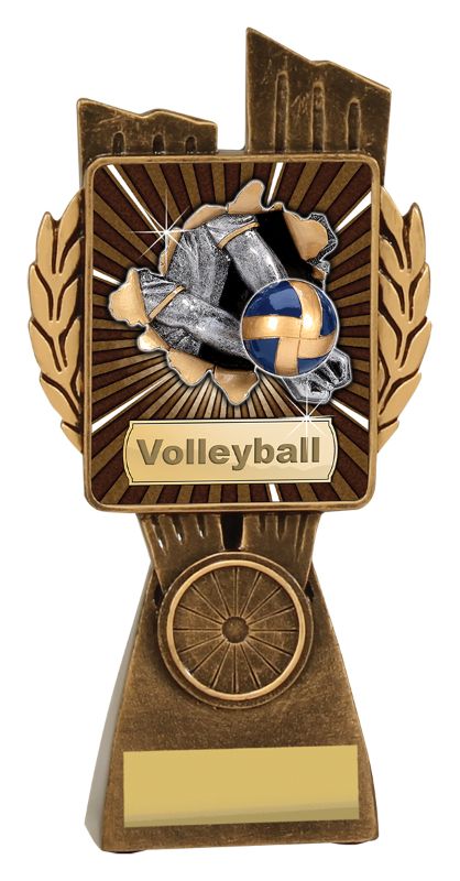 LR027B Volleyball Lynx 17.5cm
