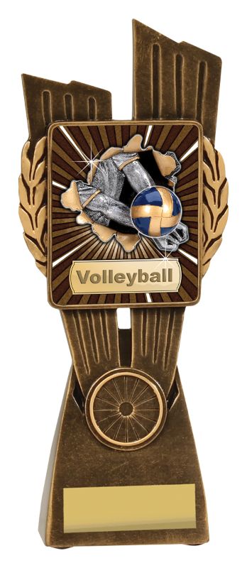 LR027C Volleyball Lynx 21cm